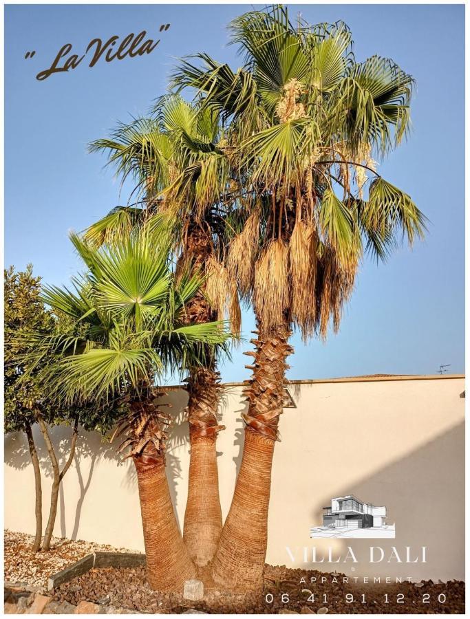 Villa Dali La Garde 260M2 Jacuzzi, Sauna, Piscine, Jardin 500M2, 5 Minutes De La Plage Luaran gambar